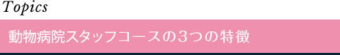 Three Features 3つの特徴