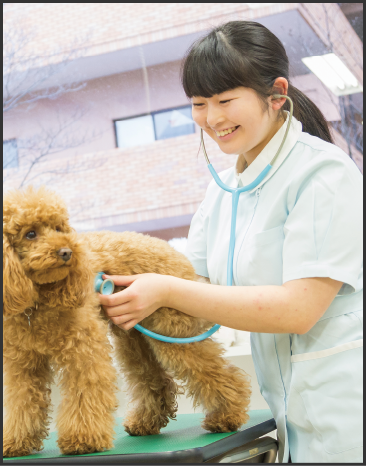 動物病院スタッフコースイメージ