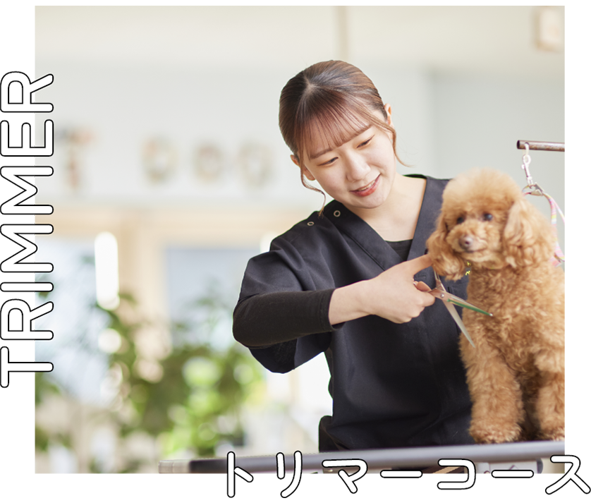 グラフィックデザイン科